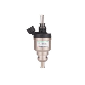LPG CNG injector for VAN and Heavy Trucks (H2100)