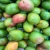 Import Premium Brazilian Mango Variety Pack Including Ataulfo Mango, Kent Mango, Keitt Mango, Palmer Palmer and Tommy Atkins from Brazil