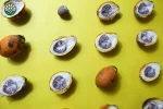 Prime Grade Betel Nuts, Areca Nuts in Wholesale