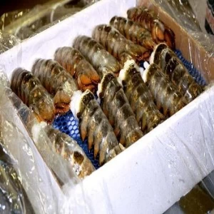 Whole Frozen Raw Lobster And Tails