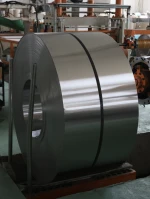 Golden Supplier Precise Stainless Steel Coils/ strips/plates 304 316 310S Cold Rolled Ultra Thin