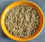 Sorghum Kernels Natural Non-GMO Grain Brewing, Food Processing, Livestock Feed, and Healthy Snacks Export Quality Bulk