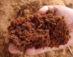 Cocopeat