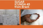 White Sugar | Icumsa 45 from Brazil