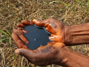 High Grade Crude Petroleum Supply