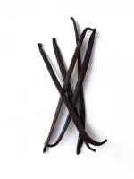 Vanilla Beans Planifolia