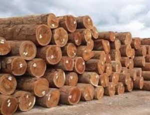 Timber & Wood Logs