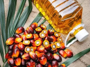 Refined Palm oil for sale