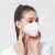Import KN95 95+ Disposable Face Mask from Singapore