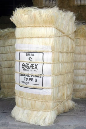 Sisal fiber for sale