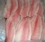Import Frozen Tilapia For Sale. from South Africa