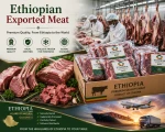 Meat