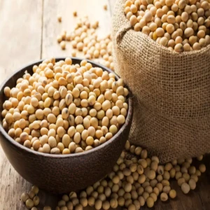 Non-GMO and GMO Soybean