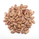 Top Quality Fresh Pinto Beans Available In Bulk Pinto Beans Natural And Healthy Choice For Wholesale Buyers
