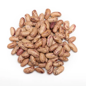 Top Quality Fresh Pinto Beans Available In Bulk Pinto Beans Natural And Healthy Choice For Wholesale Buyers