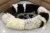 Import Sheepskin Pet Beds XXL, Premium from Poland