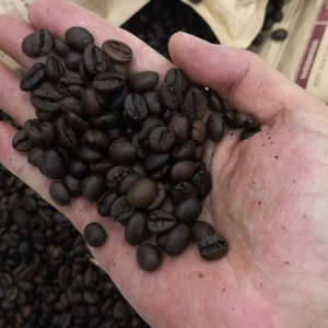 Factory Direct Sale Healthy Roasted Coffee Bean