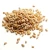 Import Natural Wheat Grain Wholesale Supply Wheat Grain Maintained With Low Foreign Matter Content from South Africa