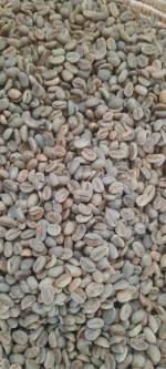 GREEN COFFEE BEANS