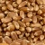 Import Natural Wheat Grain Wholesale Supply Wheat Grain Maintained With Low Foreign Matter Content from South Africa