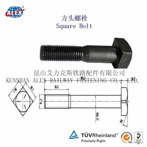 DIN603 Stainless Steel Rail Square Head Screw Spike