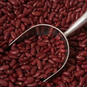 Wholesale High Quality Dark Red Kidney Beans Long Shape Kidney Beans