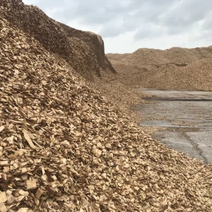 WOOD CHIPS FROM EUROPE WITH HIGH QUALITY AND GOOD PRICE