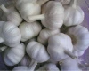 Chinese new crop fresh garlic