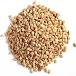 100% Barley Seeds/Animal Feed Barley/bulk Barley Grains at Affordable Price