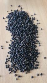 Black Pepper / Lada Hitam