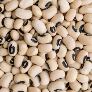 Premium black-eyed peas beans