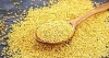 Buy Mustard Seeds Online from a Trusted International Supplier