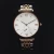 Import 316L Stainless Steel 5ATM Waterproof Japan 1l45 watch movement Quartz Business Simple Watch for Woman from China