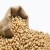 Import Best Quality Natural and Non- GMO Yellow Soybean Seeds / Soybean / Soya beans High Quality Canada Origin Soybeans from South Africa