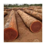 Premium merbau logs supplied in bulk for furniture and flooring projects