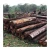 Import merbau logs supplied in bulk for industrial and commercial projects from South Africa