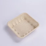 100% biodegradable sugarcane bagasse tray disposable paper kids party supplies tray