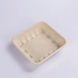 100% biodegradable sugarcane bagasse tray disposable paper kids party supplies tray