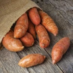 Fresh Sweet Potatoes Fresh Sweet Potatoes Natural Organic Sweet And Healthy Root Crop For Bulk Purchase And Distribution