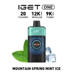 Premium Iget One 12000 Puffs Mountain Spring Mint Icee Long Lasting Vape Best Wholesale