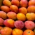 Import Premium Brazilian Mango Variety Pack Including Ataulfo Mango, Kent Mango, Keitt Mango, Palmer Palmer and Tommy Atkins from Brazil