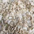 Import 100% king oyster mushroom in can in brine from China