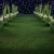 Import 100% new Polypropylene 15mm thick Artificial grass carpet PP material Fake grass carpets from China