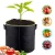 Import 100% Polyester Breathable Reusable plant growing bag Felt Planting Grow Bags for Potatoes from China