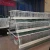 Import 15000birds chicken cages poultry farm egg layer from China