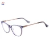 17393 Acetate Eyeglass Frame With Metal Arms For Eyeglasses Spare Parts Wholesale