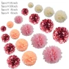 20 PCS Rose Gold Metallic Foil Tissue Paper Pom Poms for Baby Bridal Shower Wedding Birthday Party Decorations