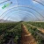 Import 200 microns hdpe plastic sheet/anti uv greenhouse plastic film/greenhouse film for sale philippines from China