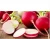 Import 2016 Best to eat fresh radish from Republic of Türkiye