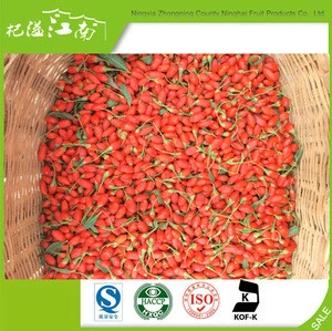 2017 new fresh goji berries export bangladesh